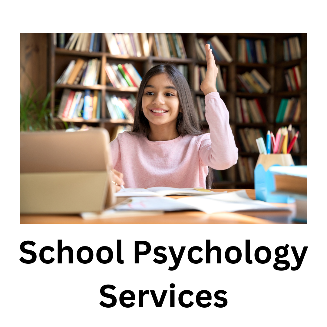 school psychology services, counseling services for schools