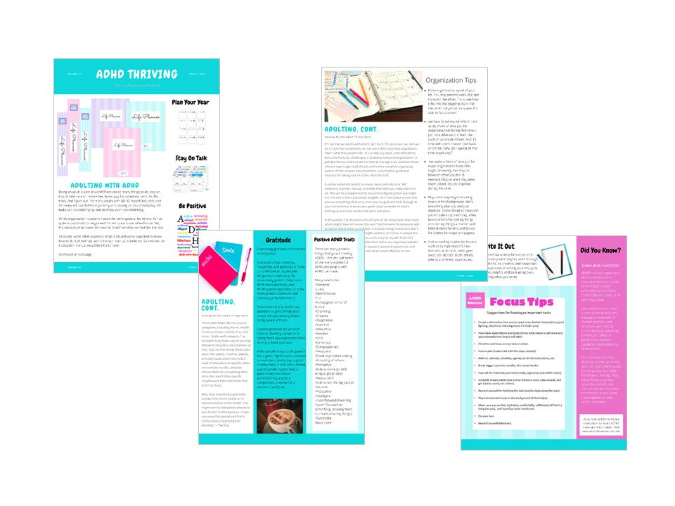 Content Creation Packages