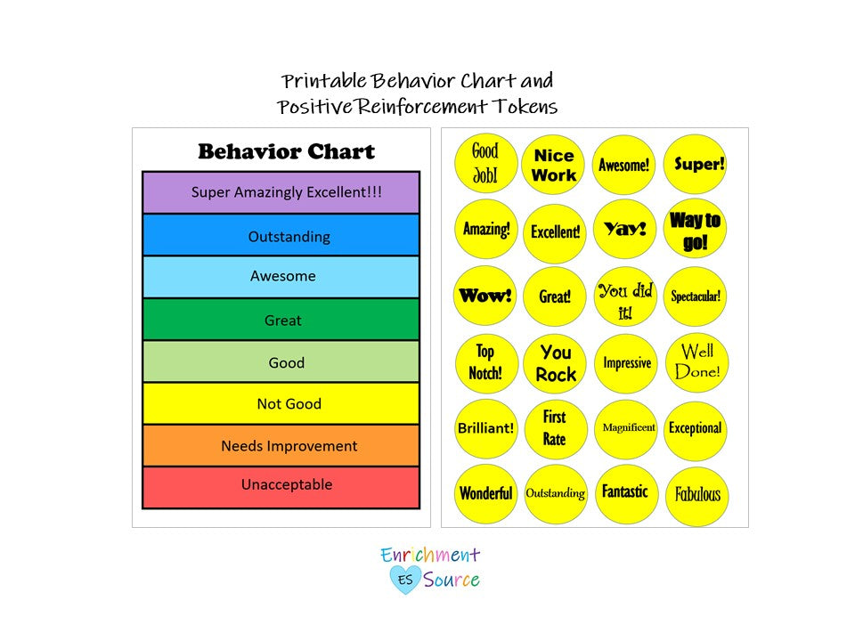 homeschool distance learning visual behavior chart